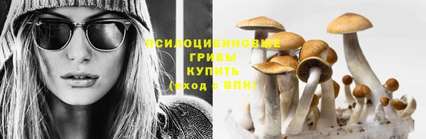 гашик Щучье