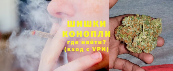 гашик Щучье