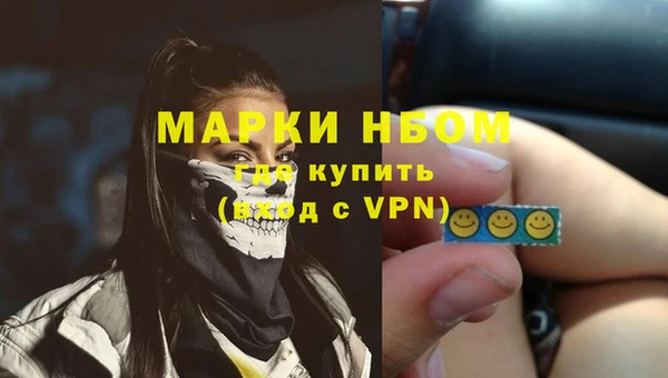 гашик Щучье