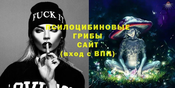 гидропоника Каменка