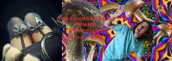 гидропоника Щигры