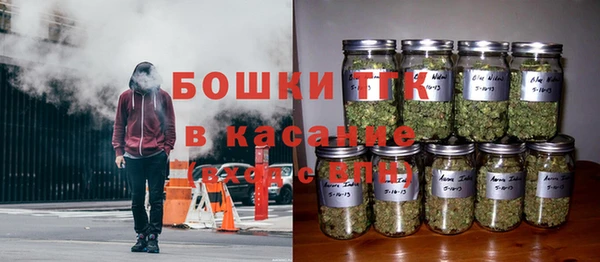 тгк Горнозаводск