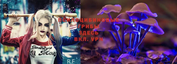 гашик Щучье
