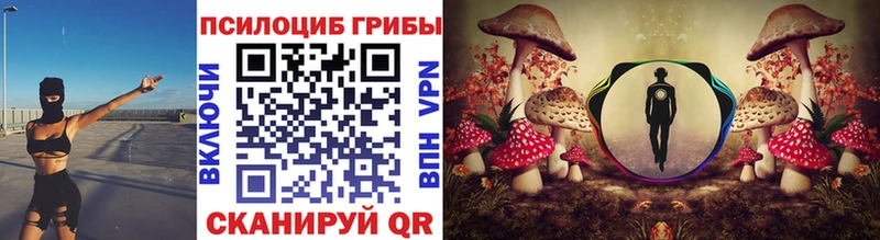 Псилоцибиновые грибы Psilocybine cubensis  Моздок 